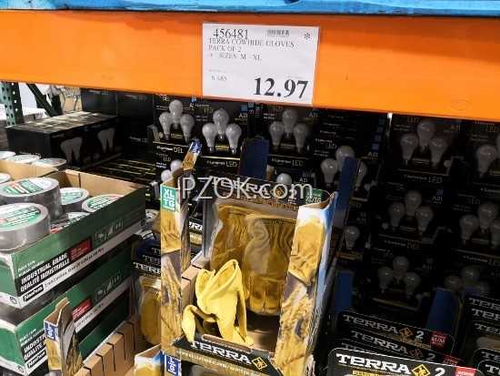 IMG_20180807_195627 (550x413)