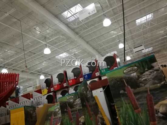 IMG_20180917_191701 (600x450)